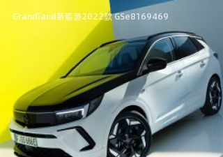 Grandland新能源拆车件客服台