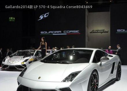 2014款 LP 570-4 Squadra Corse拆车件客服台