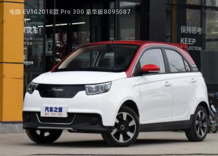 2018款 Pro 300 豪华版拆车件客服台