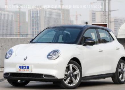 2021款 400km标准续航 雅典娜版 磷酸铁锂拆车件客服台