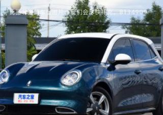 2021款 500km长续航 达芬奇版 三元锂拆车件客服台