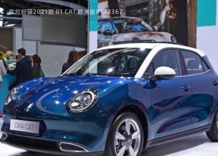 2021款 01 CAT 欧洲版拆车件客服台