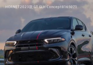 2023款 GT GLH Concept拆车件客服台