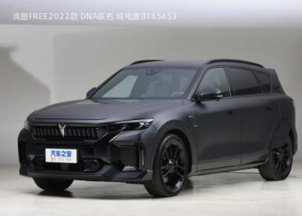 2022款 DNA联名 纯电版拆车件客服台